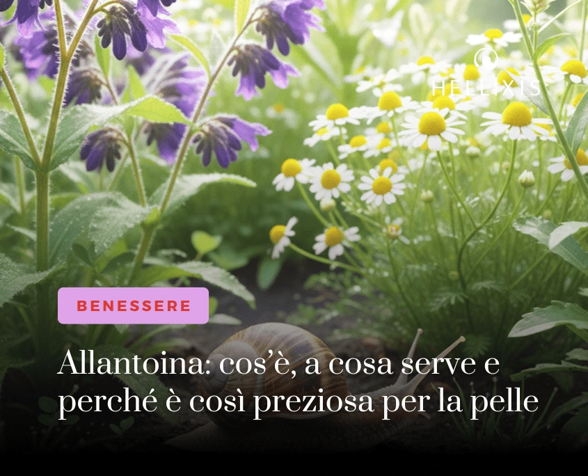 Allantoina, cos'è, a cosa serve e come utilizzarla