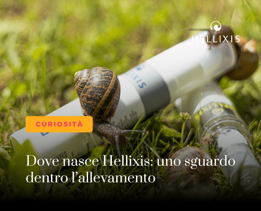 Allevamento lumache Essenza di Siena